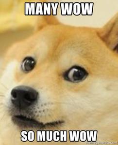 play Doge Game