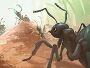 play Ants.Io