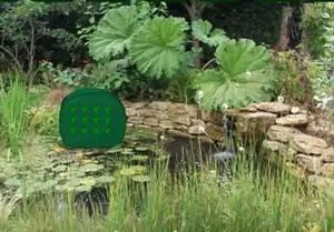 play Leaf Pond Land Escape