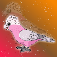 play G2J Rescue The Galah Cockatoo