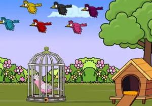 play Rescue The Galah Cockatoo