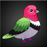 G2J Fruit Dove Escape