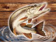 play Fish Rain