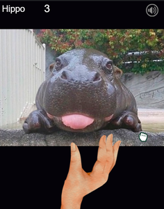 play Hippo Tongue