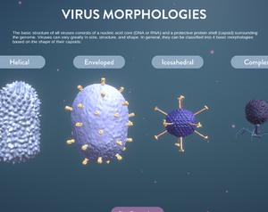 play Identivirus