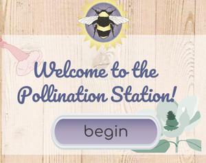 play Pollination Station