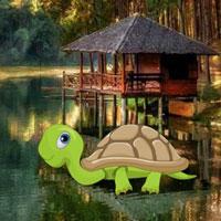 Tortoise Baby Escape Html5 game