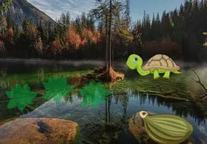 play Tortoise Baby Escape