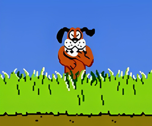 play Duck Hunter