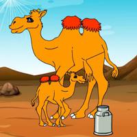 Collect To The Camel Milk Html5 game