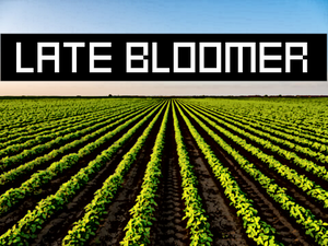 play Late Bloomer