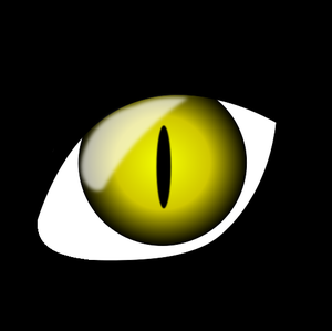 play Cat Eyes