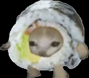play Sushi Cat V.S. 310Dorm