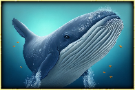play Ahab'S Quest