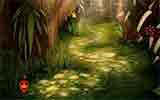 play Wildlife Forest Escape