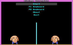 play Ribcage Volleyball