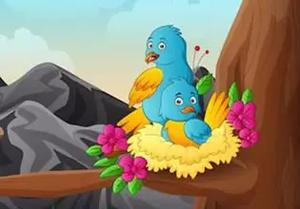 play Assist Homeless Birds