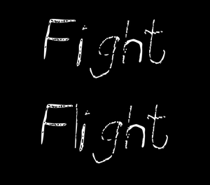 play Fight Or Flight
