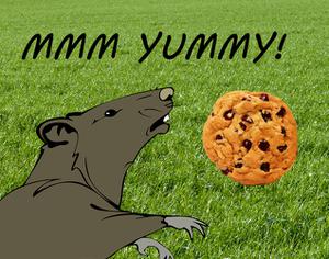 play Rat Loves Cookies