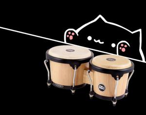 play Bongo Cat