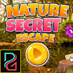 Pg Nature Secret Escape game