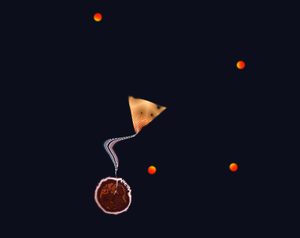 play Siphmup