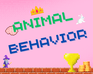 play Animal Behavior