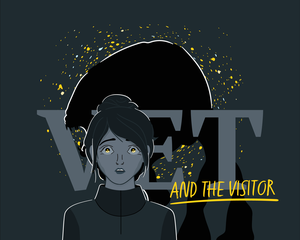 play Vet And The Visitor