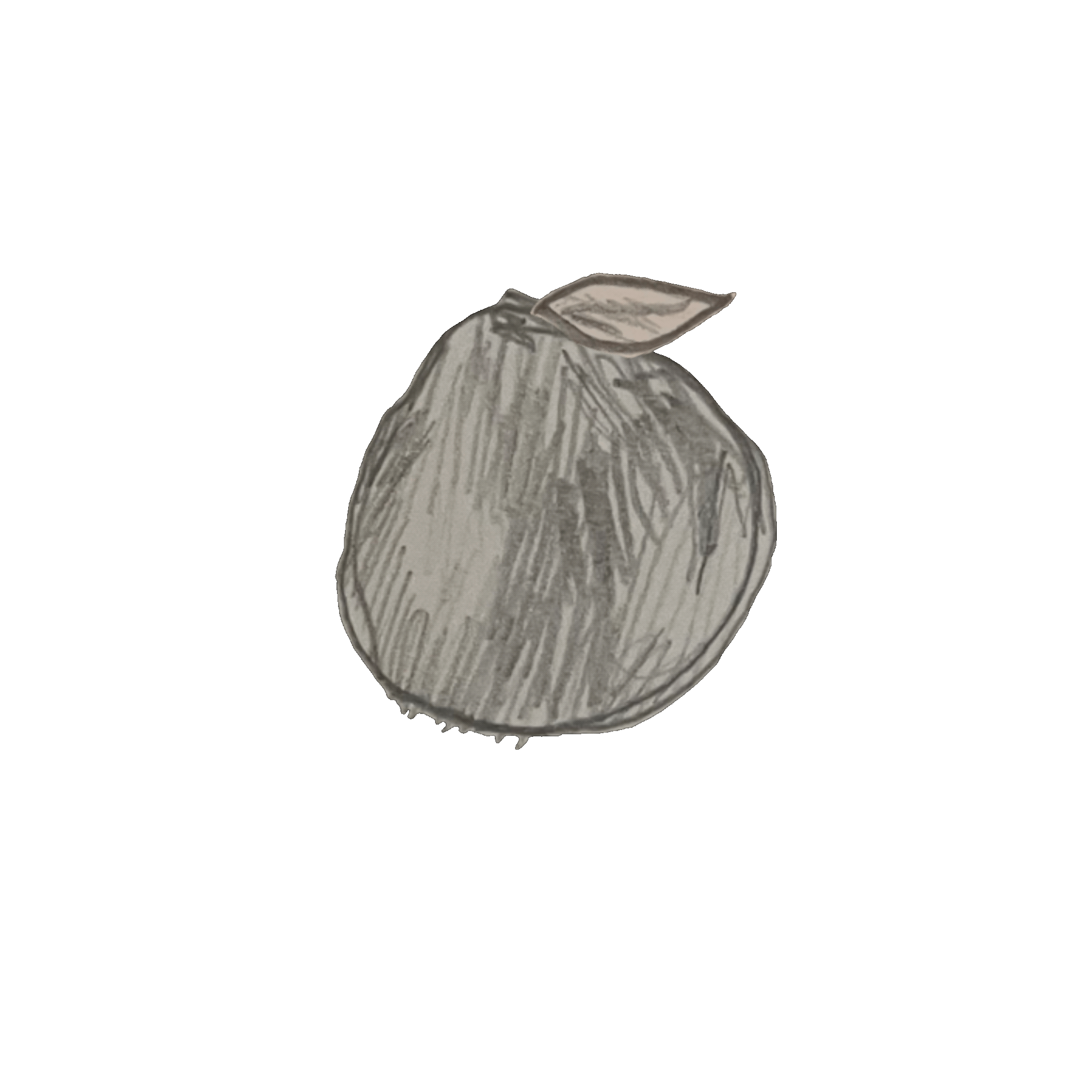 play Peeling Pomelo