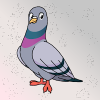 play G2J Rescue The Rock Pigeon