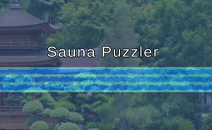 play Sauna Puzzler