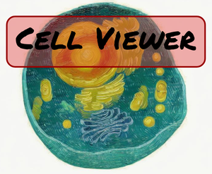play Cell Viewer