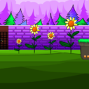 play G2M Garden Bee Rescue