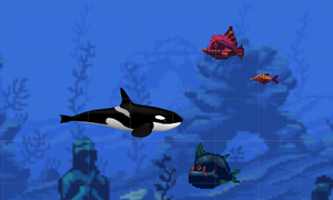 play Ocra In Wave