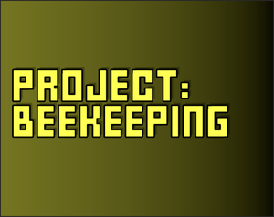 play Project: Beekeeping