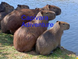 play Capivara Adventure