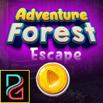 play Pg Adventure Forest Escape