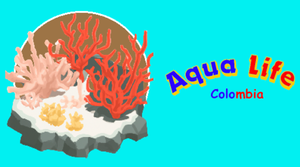 play Aqua Life Colombia