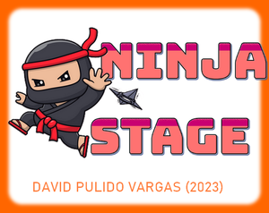 play Ninja Stage