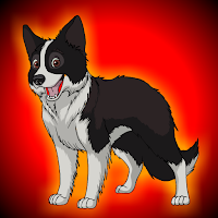 play G2J Purebred Border Collie Escape