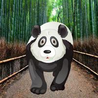 Wakeup The Sleeping Panda Html5