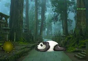 play Wakeup The Sleeping Panda