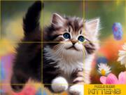 play Puzzle Sliding Kittens