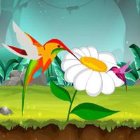 play Big-Peaceful Birds Forest Escape