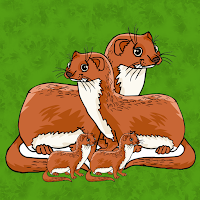 play G2J Cute Weasel Family Escape