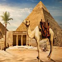 Big-Pyramid Egypt Desert Escape