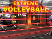 play Extreme Volleyball