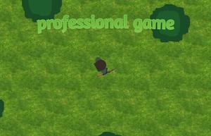 play Professional Game