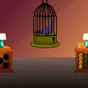 play G2L Black Bird Rescue