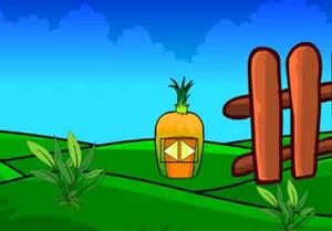 play Black Bird Rescue